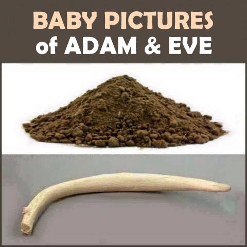 baby-pictures-of-adam-eve